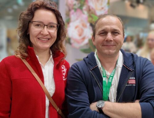 Najważniejsi hodowcy róż w Europie