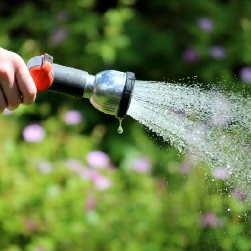 woda czy nawożenie dla róż