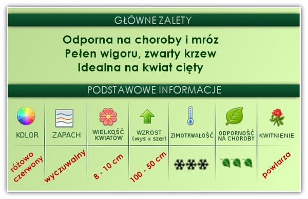 Modern Art główne zalety