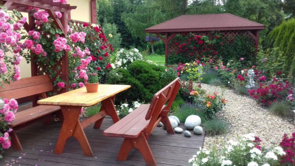 ławka i róże rosarium