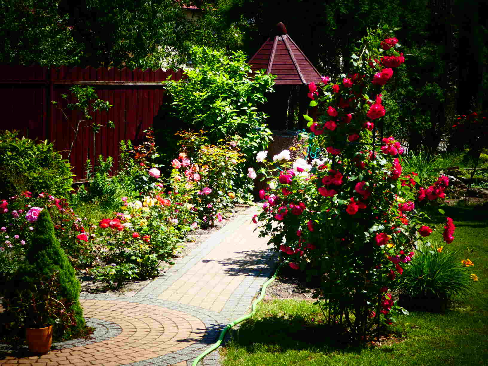 ogród różany
