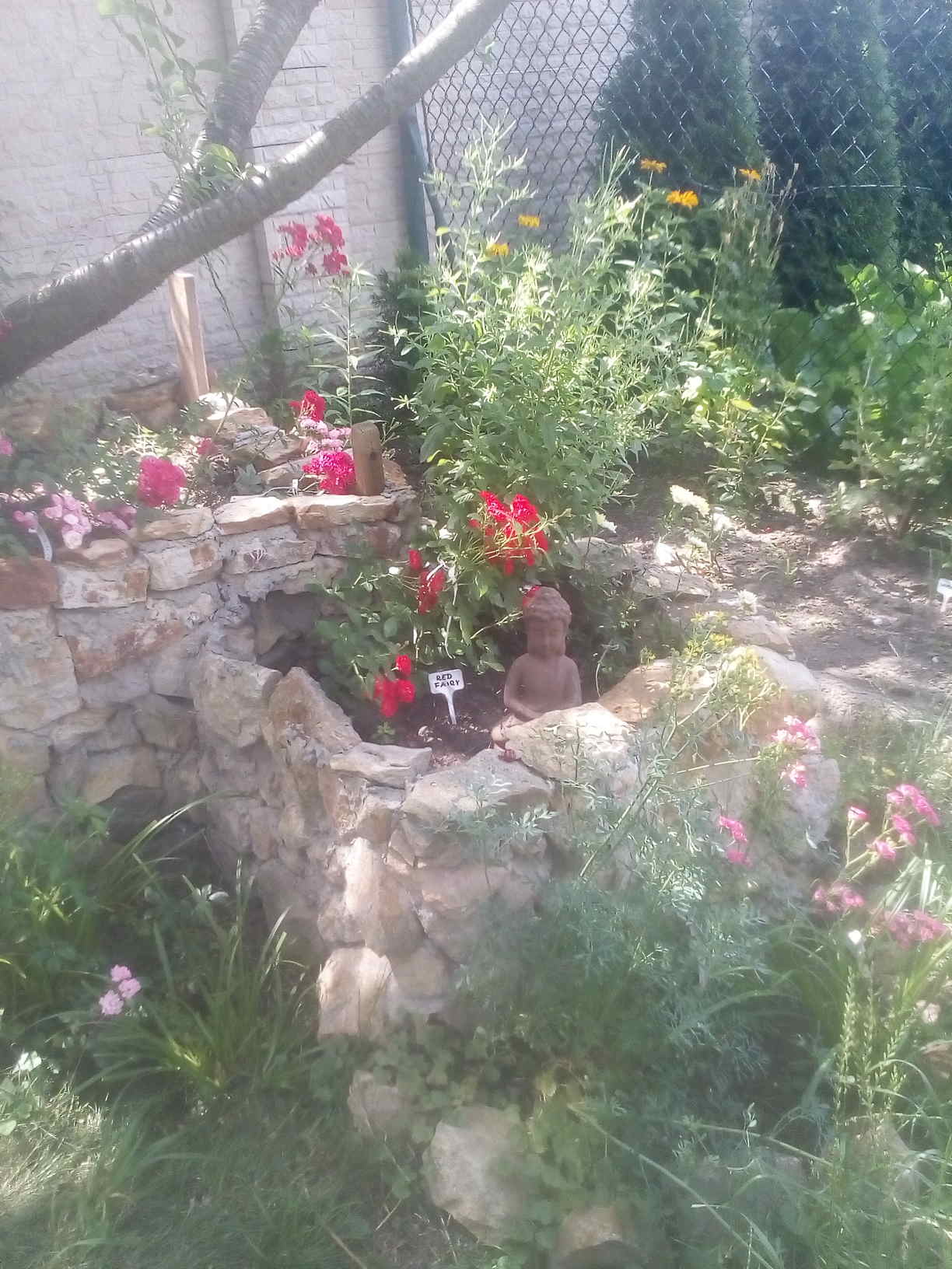 różane ogródki
