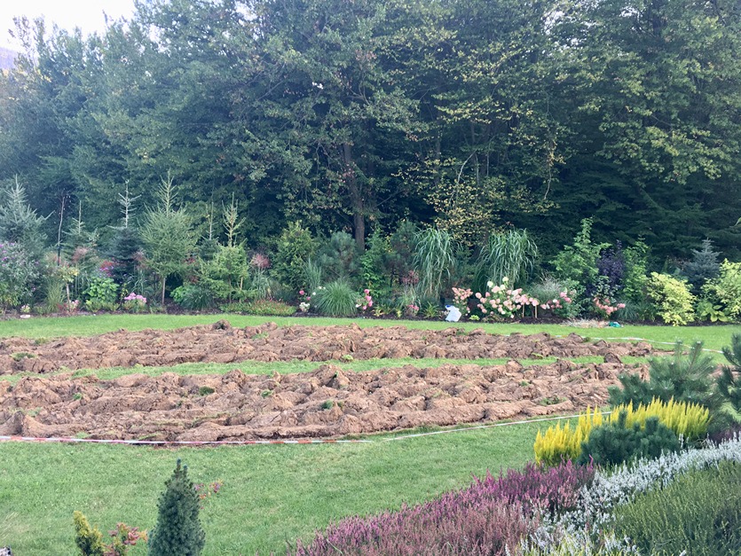 kwitnienie róż kwitnienie róż