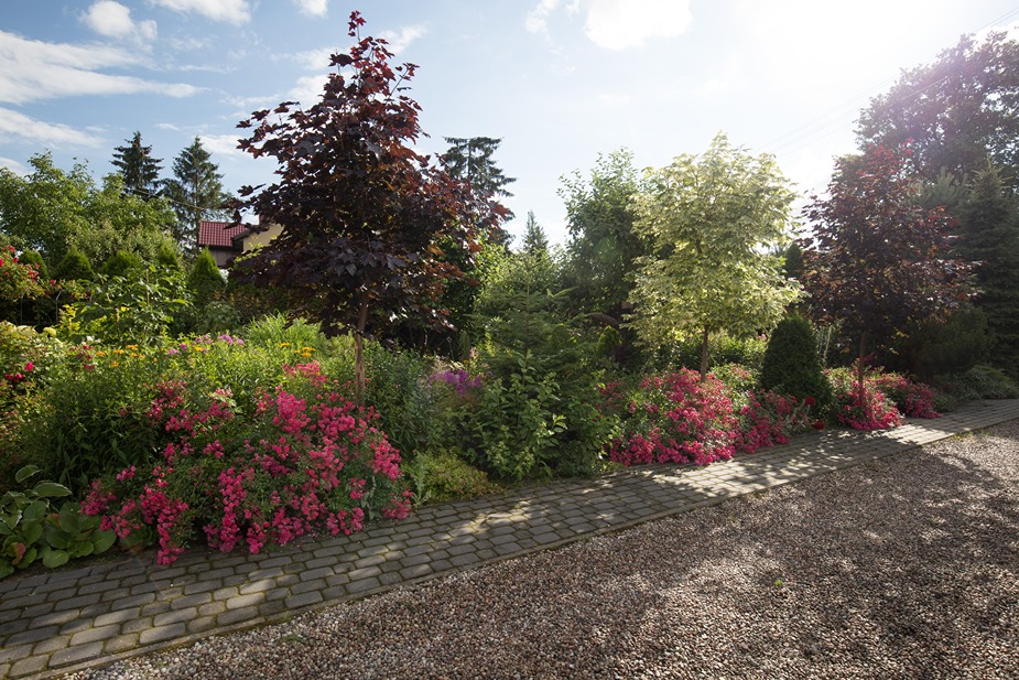 ogród róż ogród róż