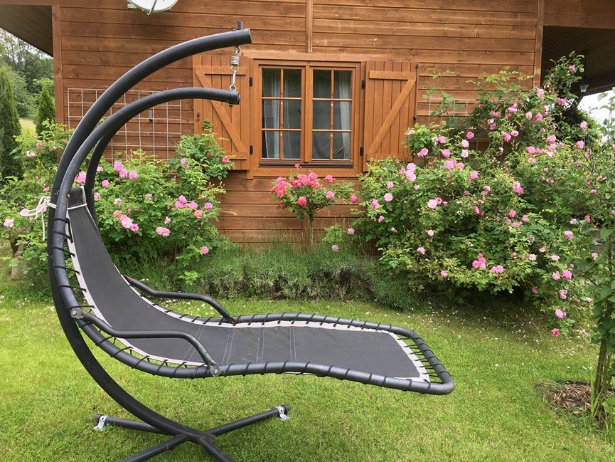 róże w ogrodzie róże w ogrodzie