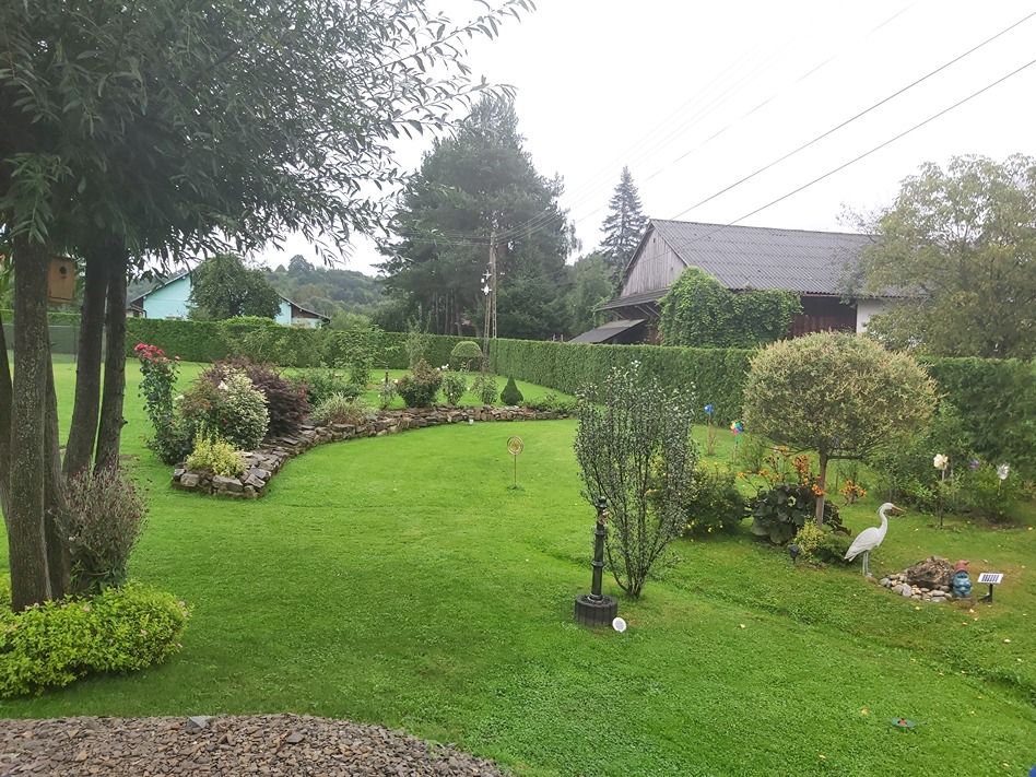 ogród róż ogród róż