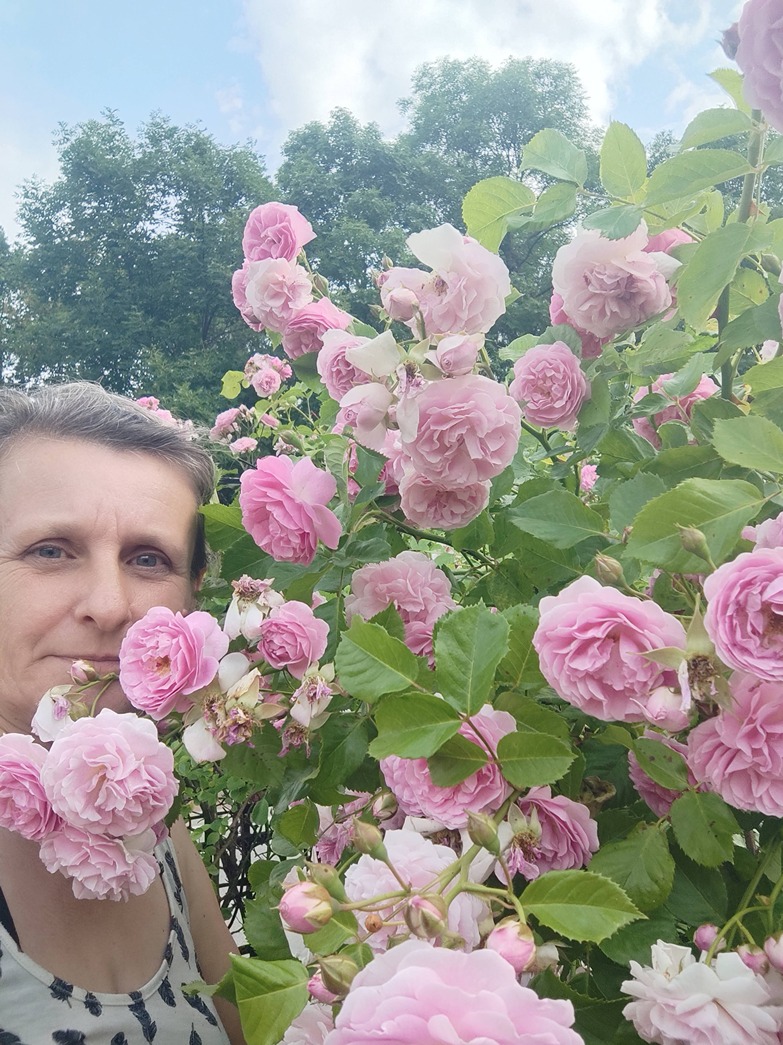 ogród róż ogród róż