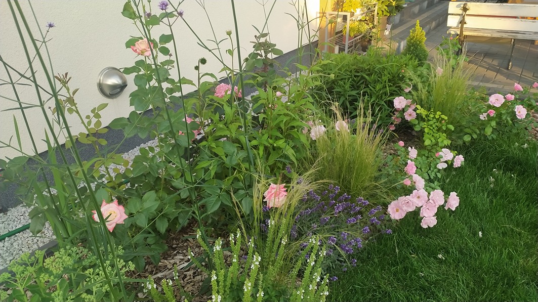 różane ogrody różane ogrody