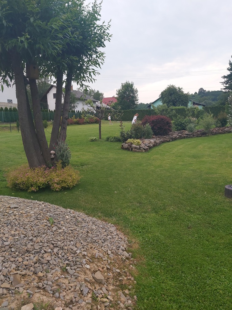 sadzenie róży sadzenie róży