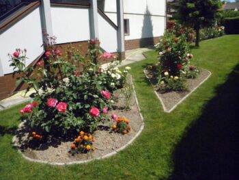 ciekawe obrzeże różane