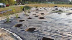 przygotowane miejsca pod róże