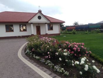 różana rabata łezka