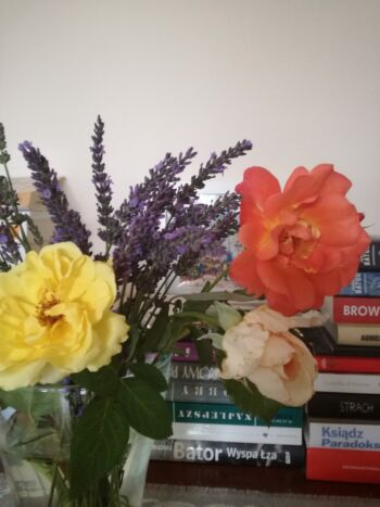 bukiet z kolorowych róż