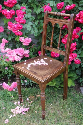 krzesło na tle rosarium oraz flammentanz