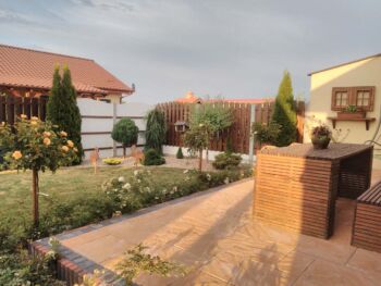 alba meidiland oraz róże pienna