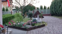 SONY DSC kolekcja róż