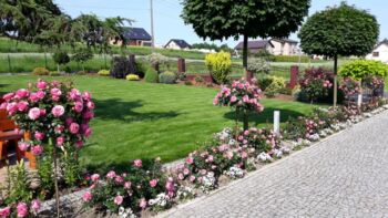 leonardo da vinci ogród różany