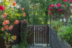 pięknie ozdobiony ogródek różami