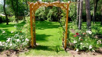 kompozycja różana przy szpalerze