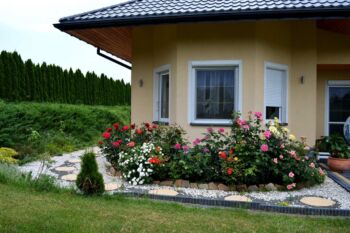 rabata różana obok domu