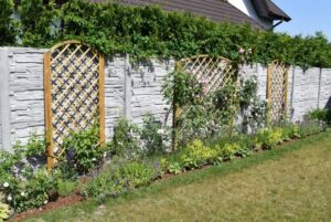 róże pienne wśród innych roślin